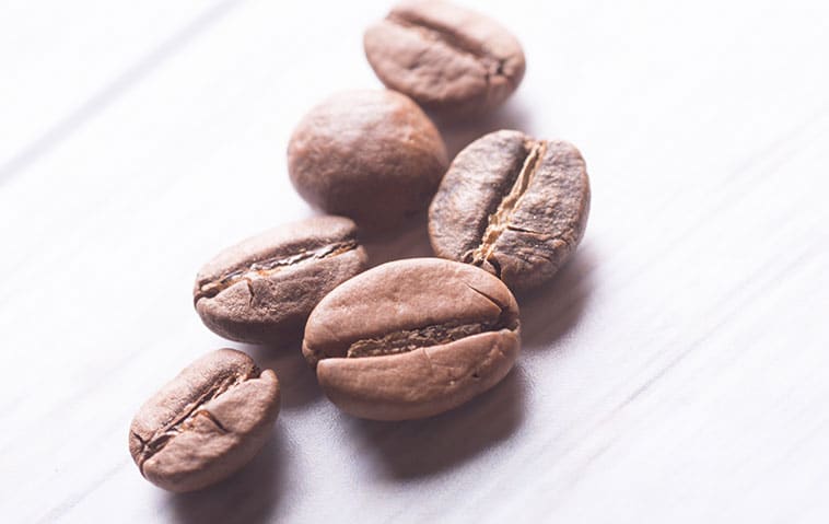 Chicchi di caffè americano o filtro a Genova