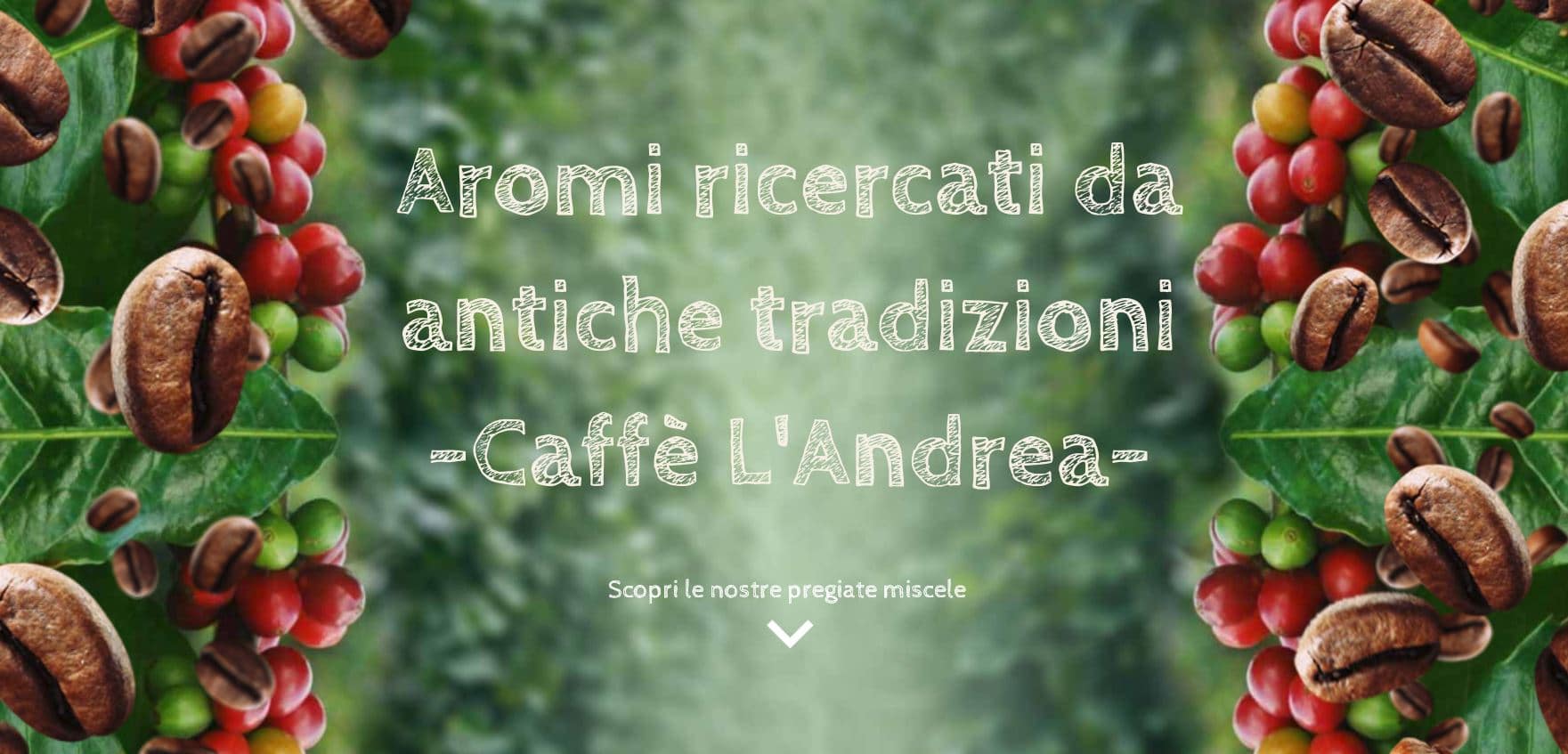 Caffè Americano o Filtro  Torrefazione Caffè L'andrea a Genova