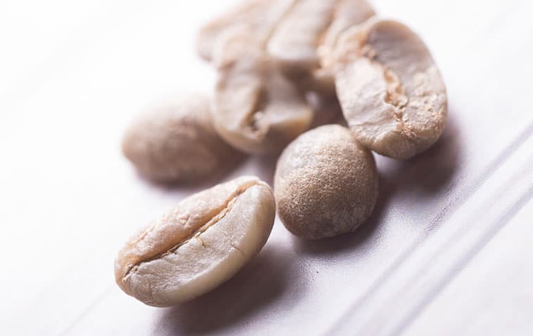 chicchi di caffè maragogype a Genova