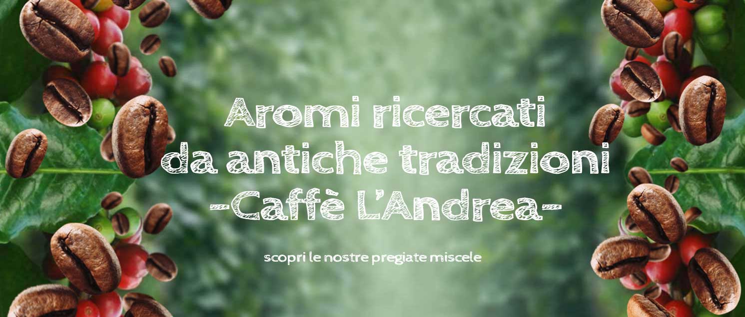 Caffè Americano o Filtro  Torrefazione Caffè L'andrea a Genova